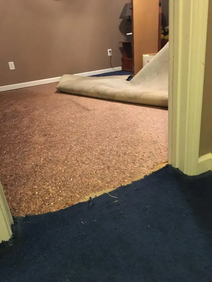 Carpet pad removal revealing water damage during Drying & Dehumidification in Ferguson